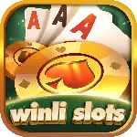 winli slots game